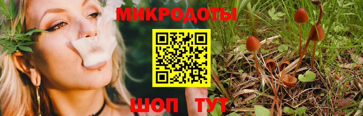 Галлюциногенные грибы прущие грибы  Вход с VPN  Можайск 